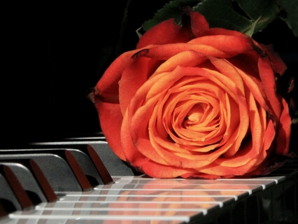 The Healing Piano