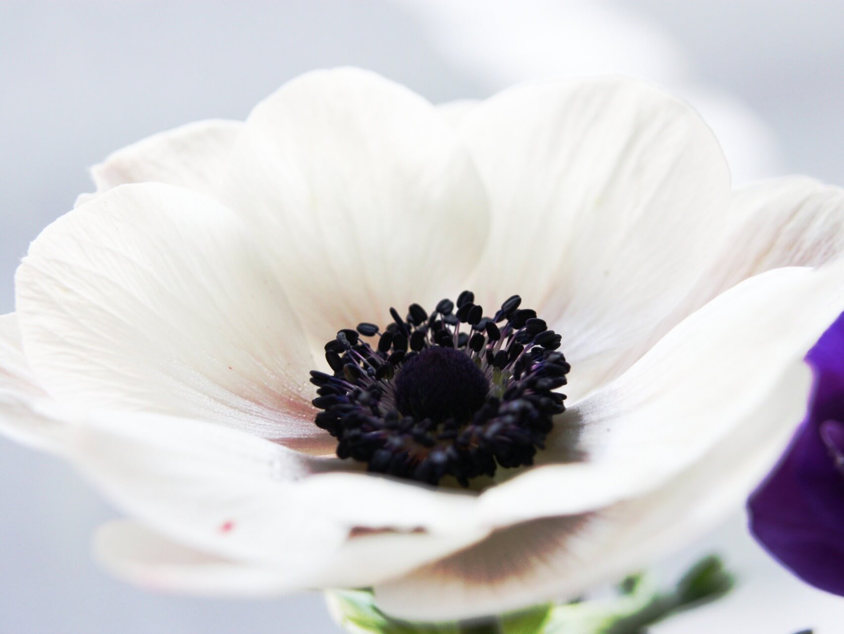 I Am Enough. I Am Loved. I Am Worthy.