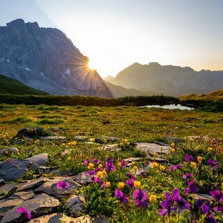 You Belong: A Journey Home