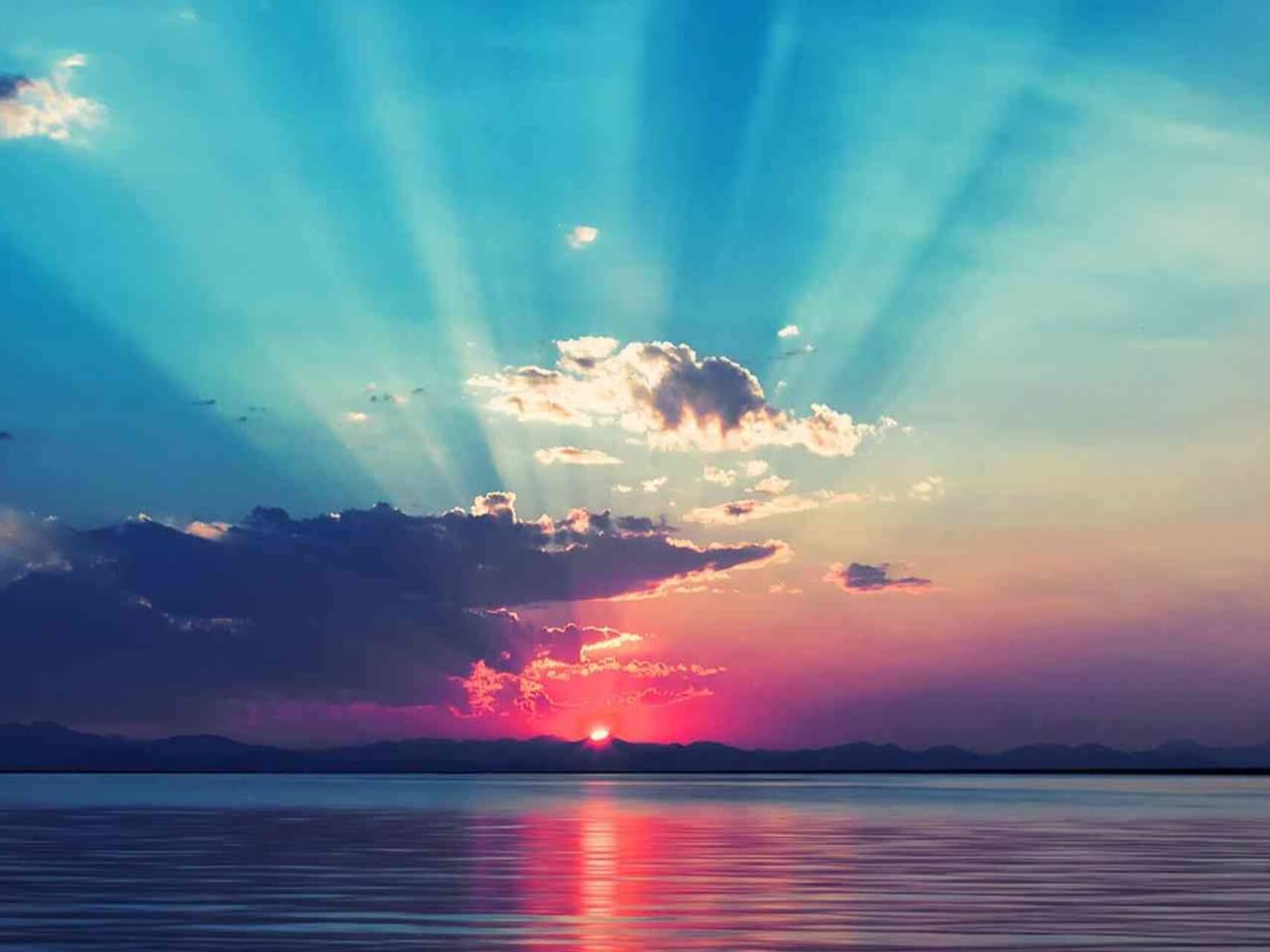 Raise Your Vibration With Gratitude & Love