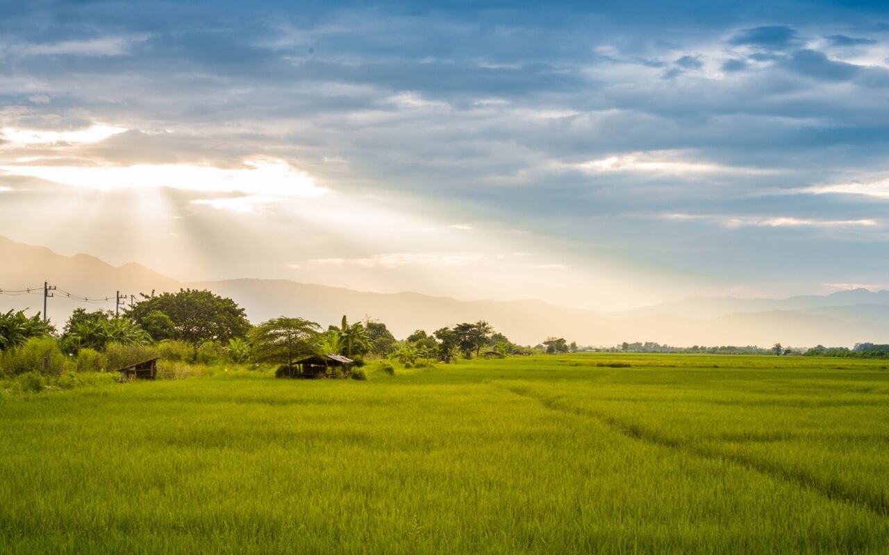 IFS Guided Meditation: Getting To Know A Part Better