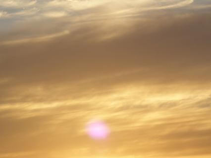 Sing Your Way To Sweetness - by Laura Heal