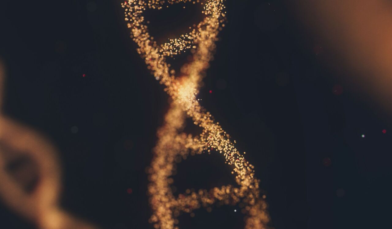 Accessing Potential Through Your Gene Expression