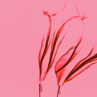 Счастье Жить и Любить