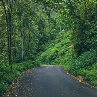 Walks Inward Peace Walks Inward: Pilgrimage, Duality & Dharma With Asoka | Joshua ...