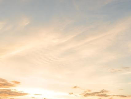 Rooted In Peace: A Simple Way To Grow Closer To God With Scripture And Prayer - by Luni Hanke