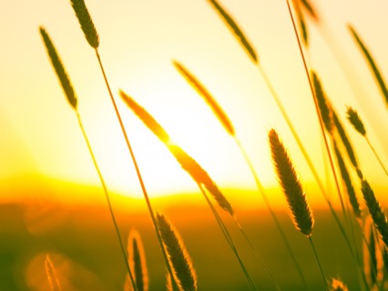 Para Empezar Tu Día: Una Mañana Radiante