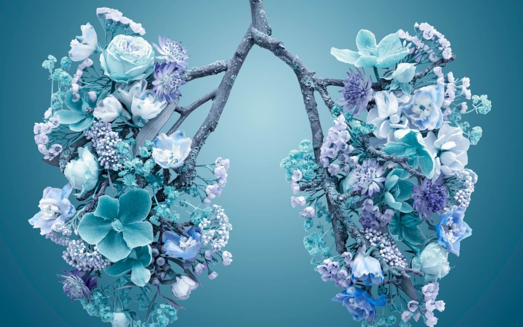 Restore, Repair, Affirm, Repeat - Vagal Breathing