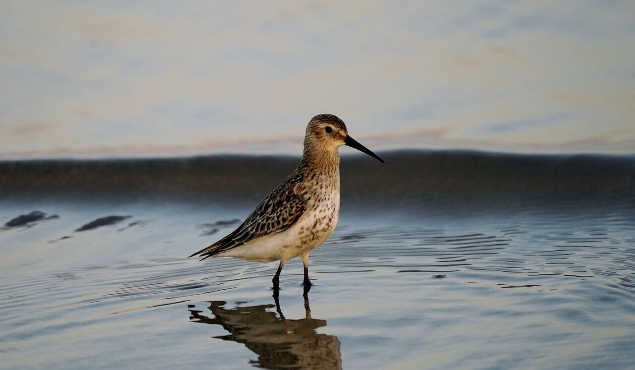 Welcome Emotion - Especially About Relationship Conflict