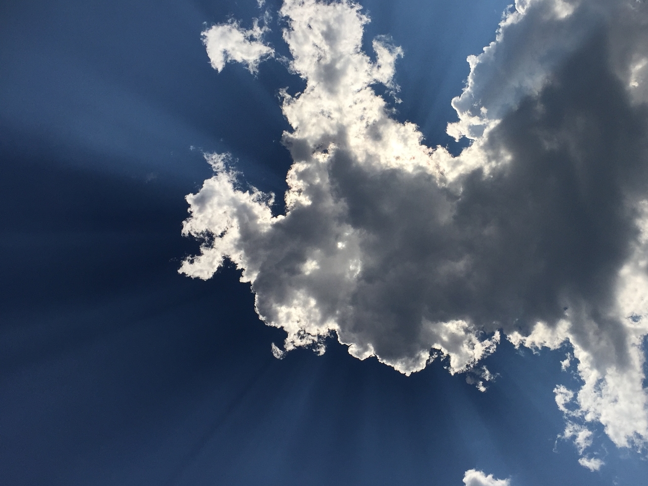 Conscious Breathing For Calm Energy