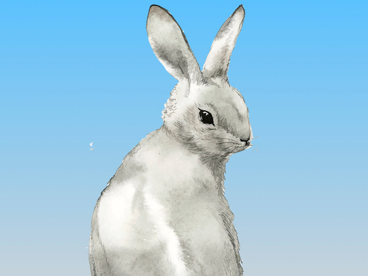 Peaceful Kids Guided Relaxation