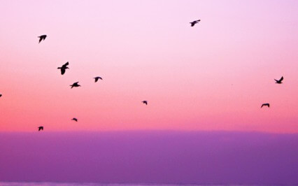 3 Minute Hack To Stop Overwhelm
