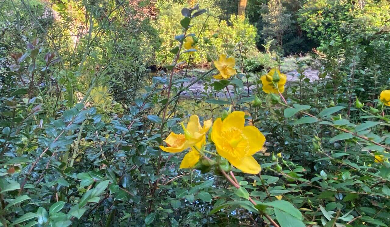 Energy Healing Affirmations