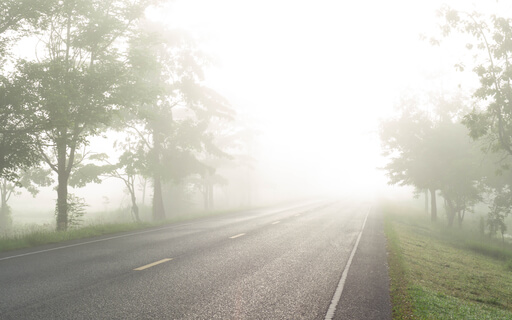 Ambient Organic Flow – Background Music