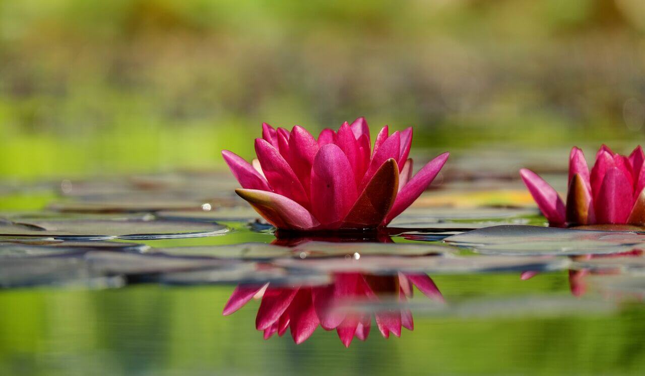 Use One Question To Release Your Self-Limiting Beliefs