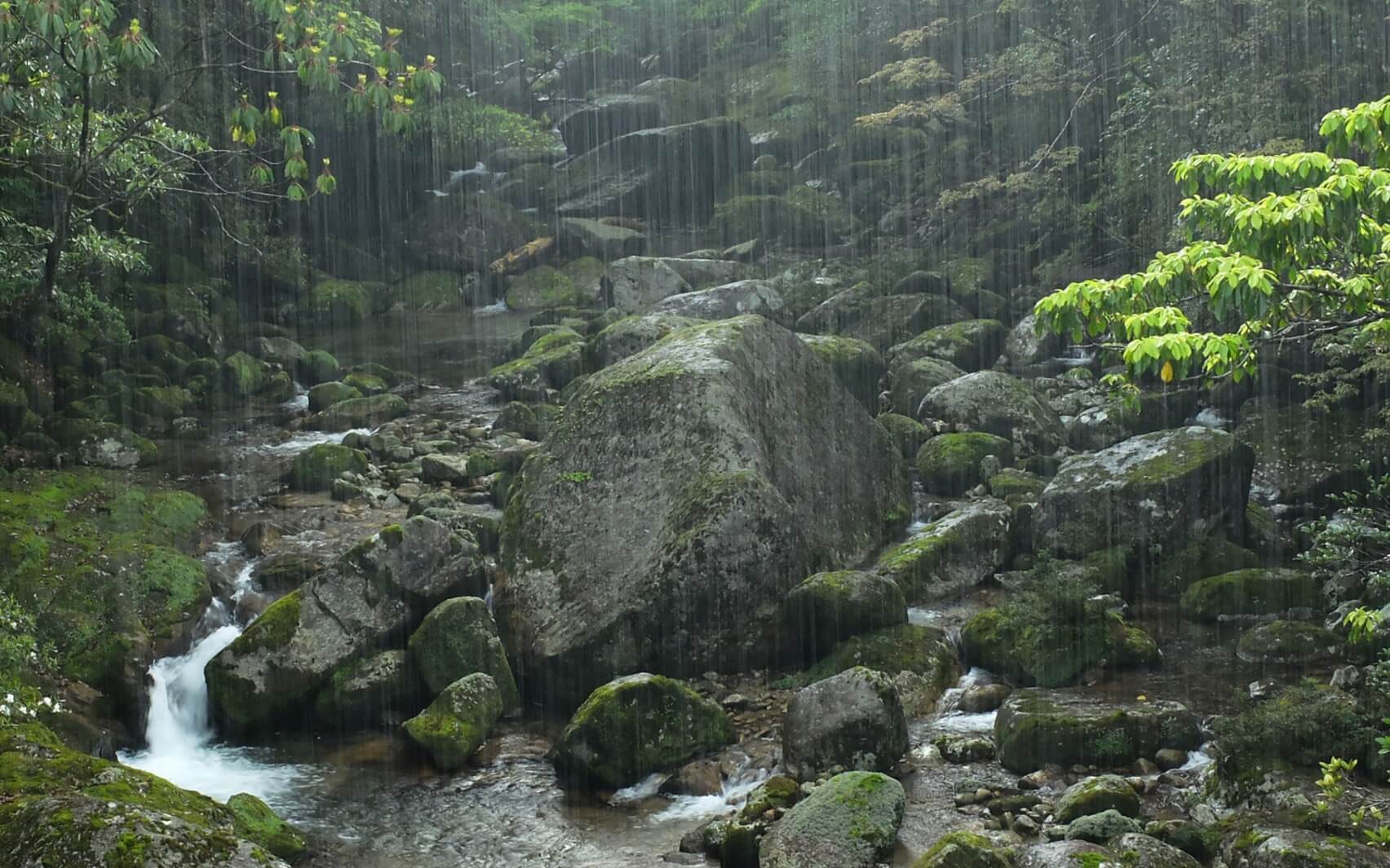 Buffalo Drum & Rain (Bilateral Stimulation) Long Version