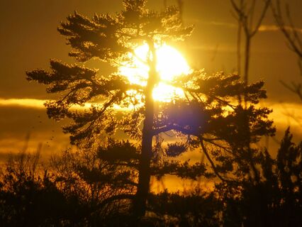 Manifesting: Your Manifestation Blueprint - by Alice Langholt