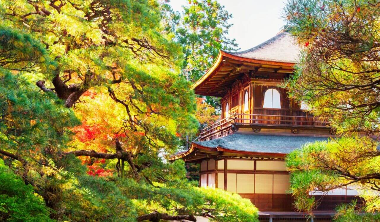 Instants de Sérénité Dans Votre Jardin Intérieur