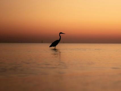 Moving From Self-Blame To Self-Forgiveness - by Kiran Patel