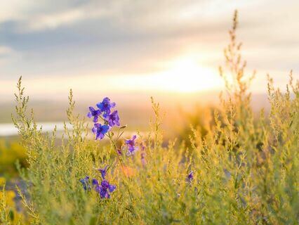 Mindful Mornings - by Caroline Inckle