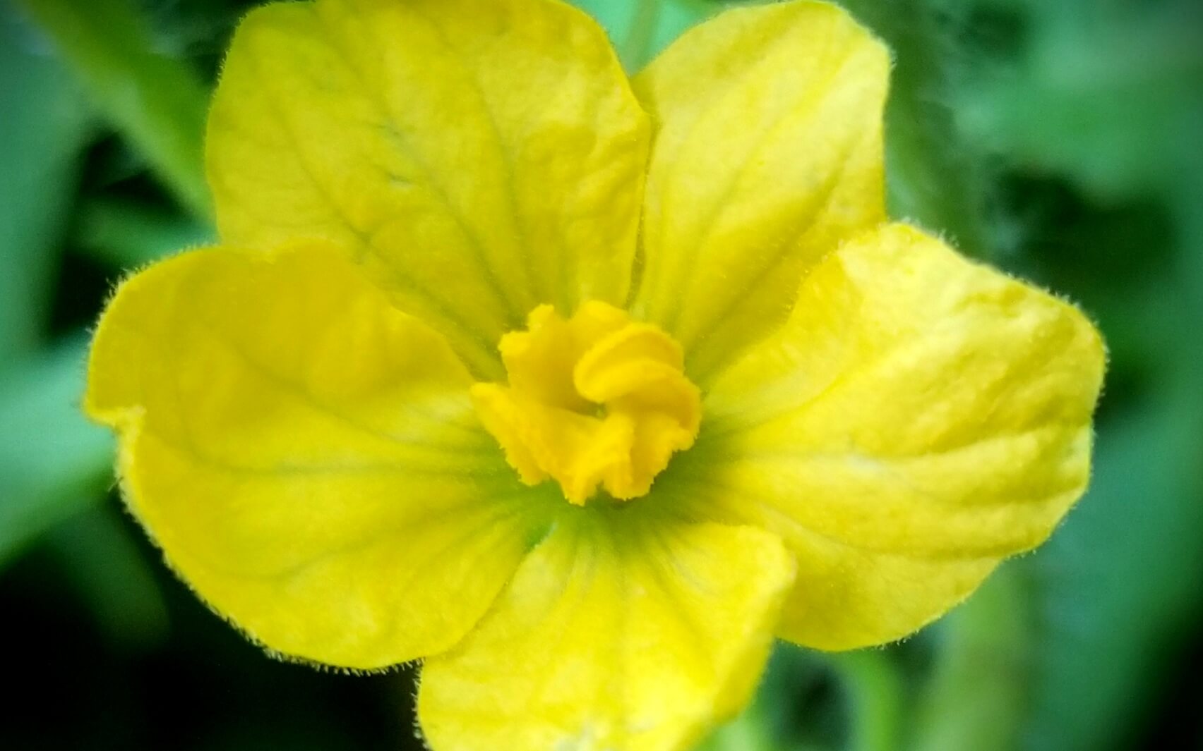 Scanning the Body (Mindful Body Scan)