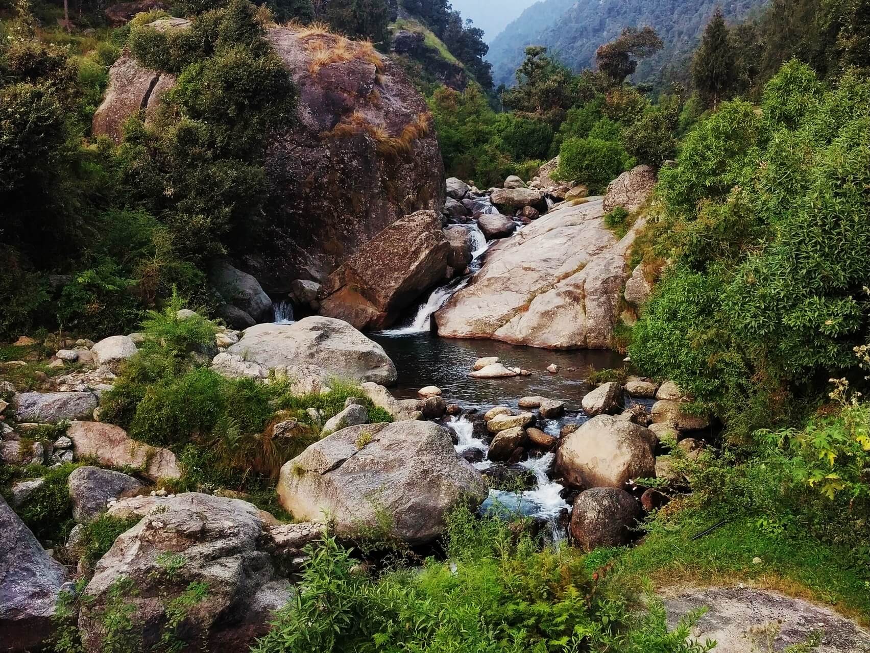 5 Points of Presence