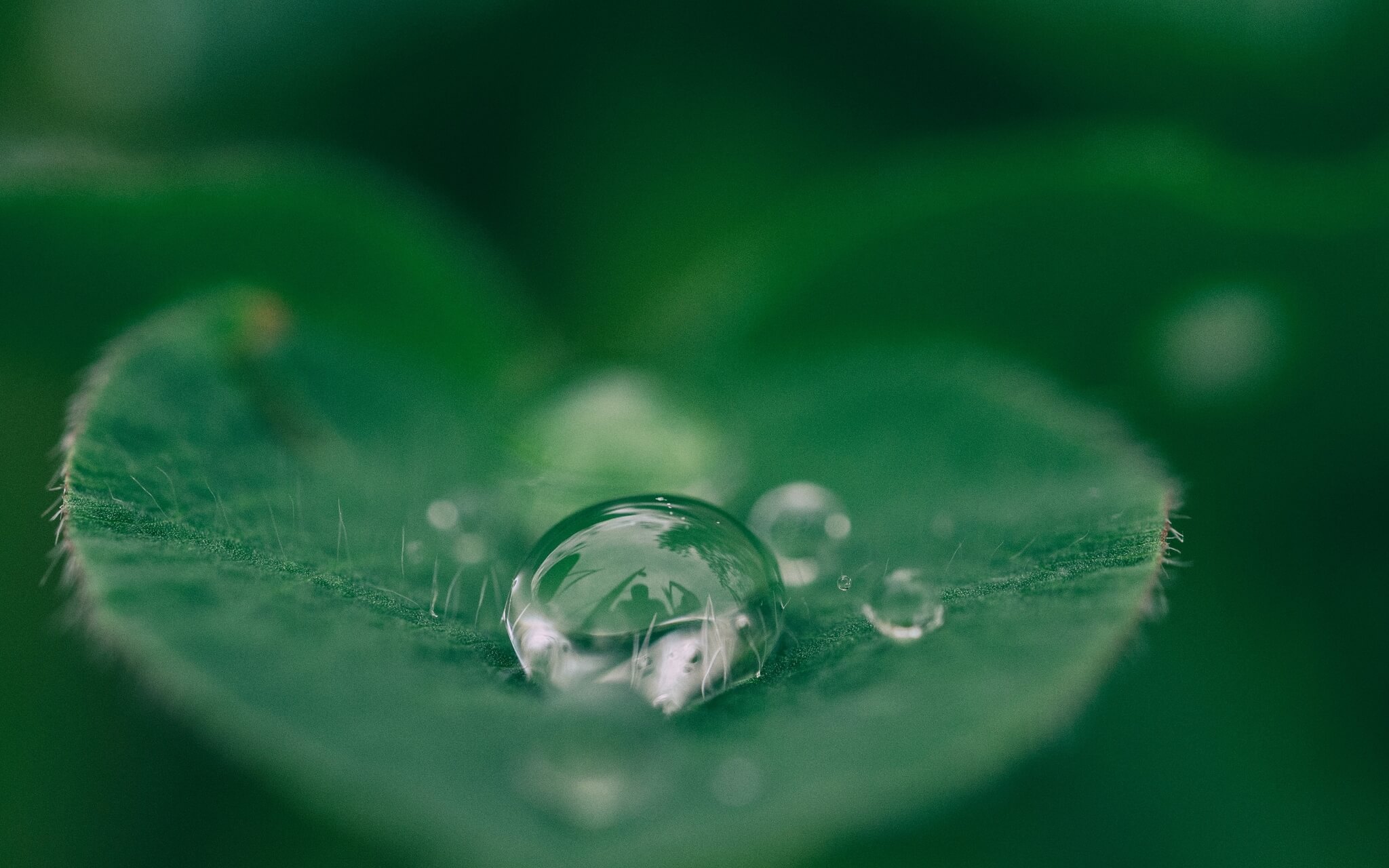 Meditation For Chronic Body Anxiety