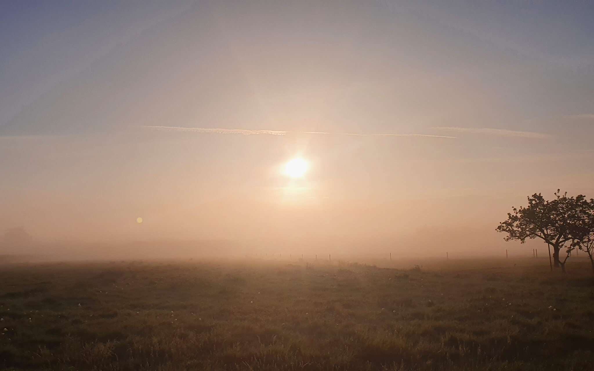 Wat is Echt Belangrijk Voor Je?