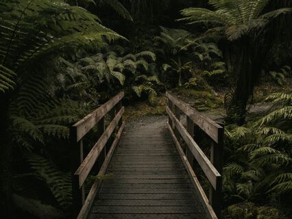 Honouring Grief: A Guided Meditation