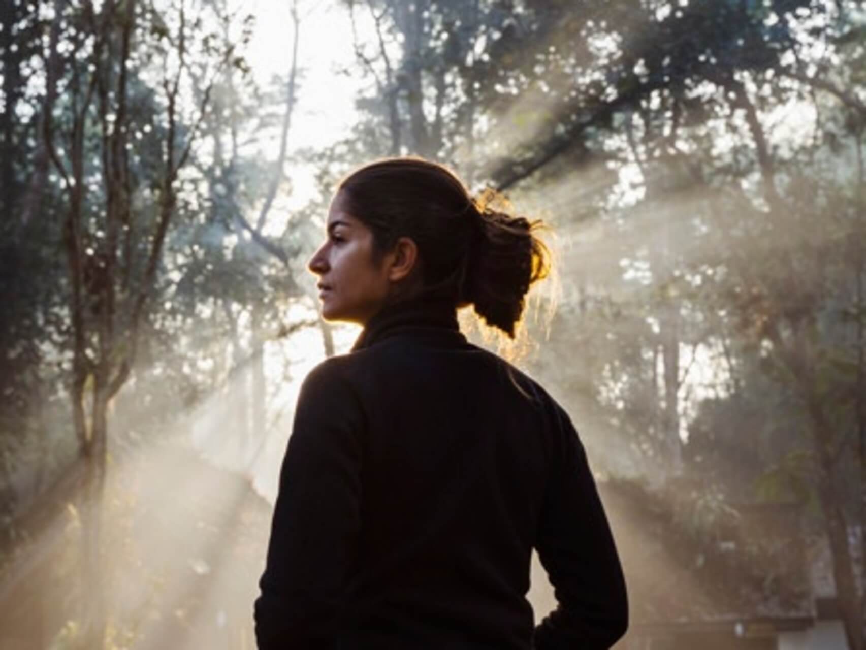 Bilateral Music Magic Forest