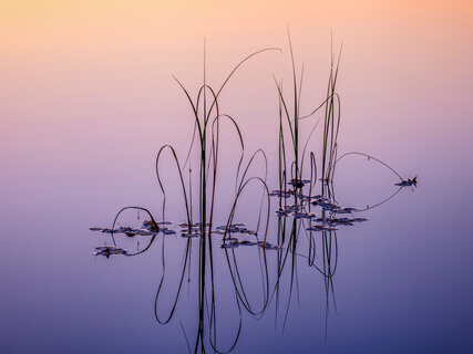 Delta Waves & Oceanic Sounds For Deep Rest