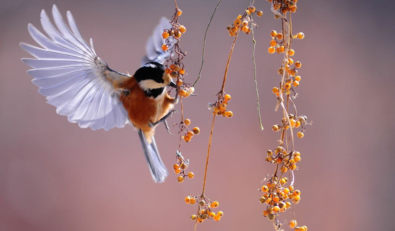 Three Simple Ways To Invite The Angels To Dance With You