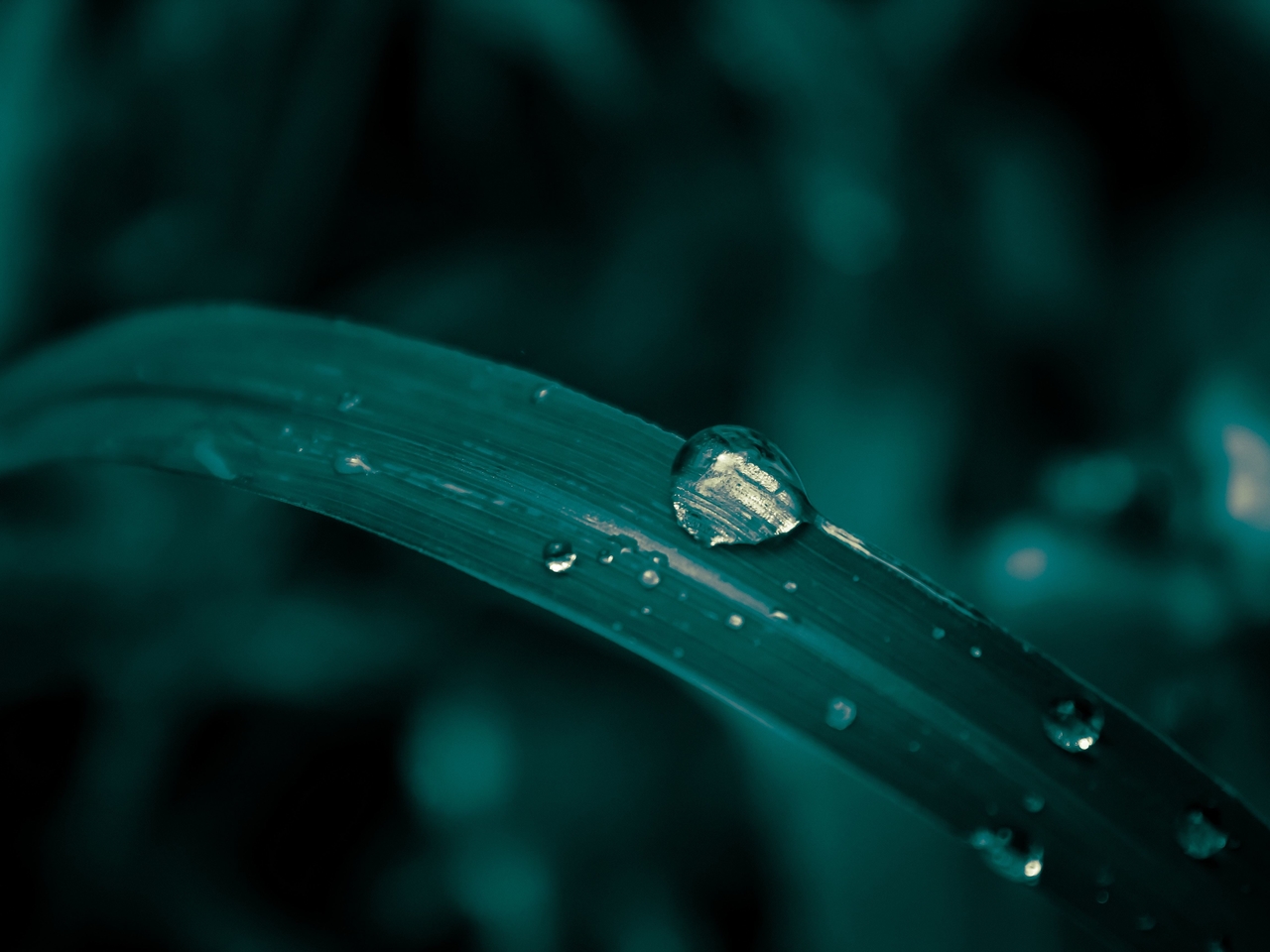 Nature Sounds: Rain & Thunder