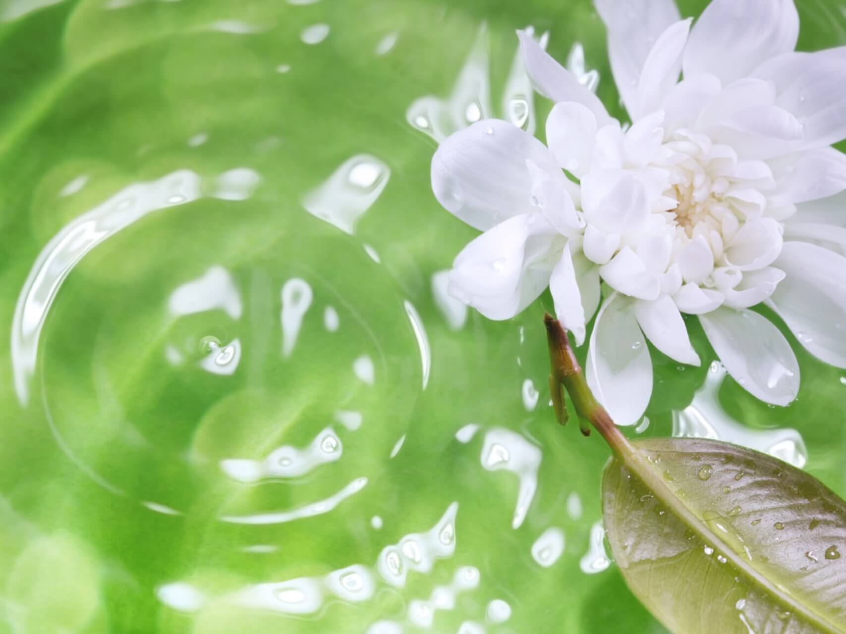 Anxiety Reduction - Calm Your Anxiety