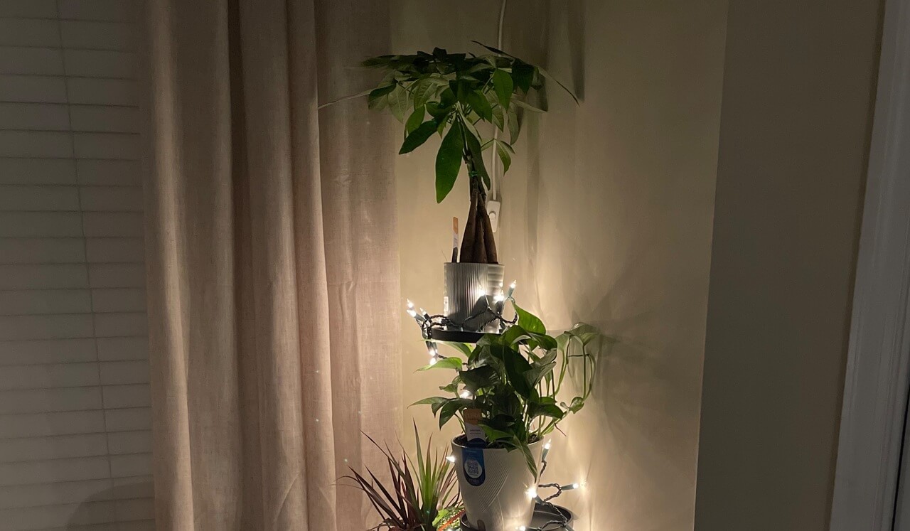 Settle Into Deep Rest And Sleep