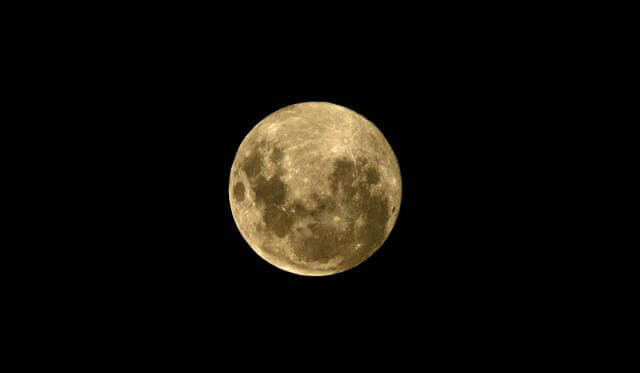 New Moon In Cancer | Come Home To Yourself 14 July 26 | Susan Crichton