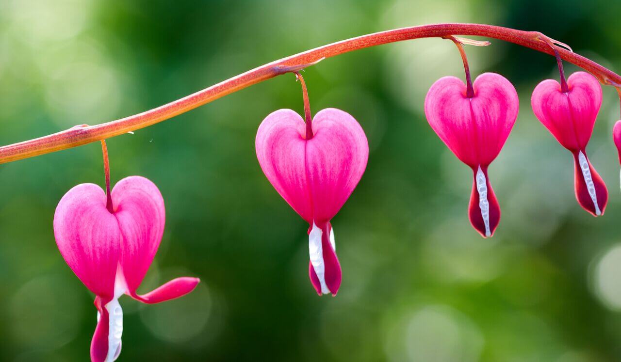 Letting Go, Bringing In Forgiveness: A 100-0 To Deep Sleep