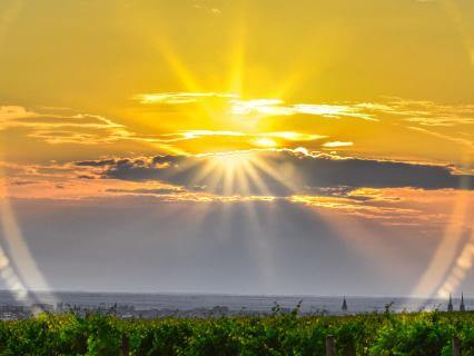 Rewiring Your Brain To Source - Aligning Mind Channels