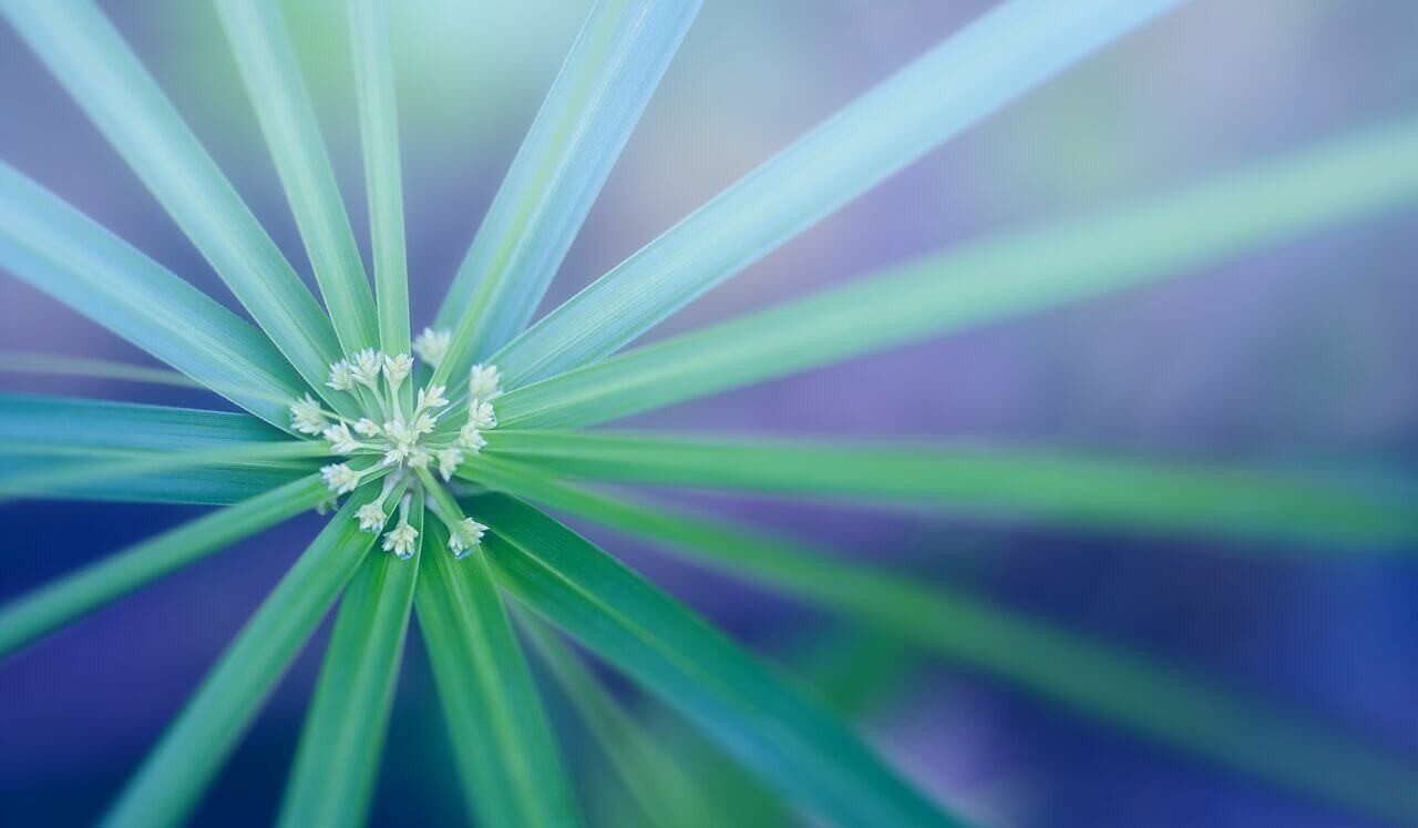 Deep Sleep Hypnagogic Journey