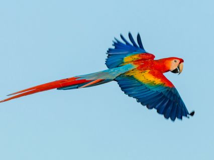 Rewire Your Mind: Science-Backed Shifts For Emotional Freedom - by Mark Rowland