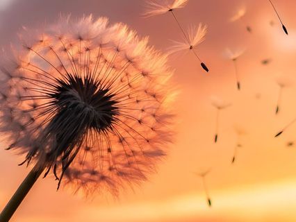 Settling Your Circadian Rhythm For Sound Sleep - by Helen Hansen