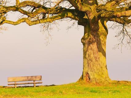The Sustainable Caregiver - by Teresa McLean