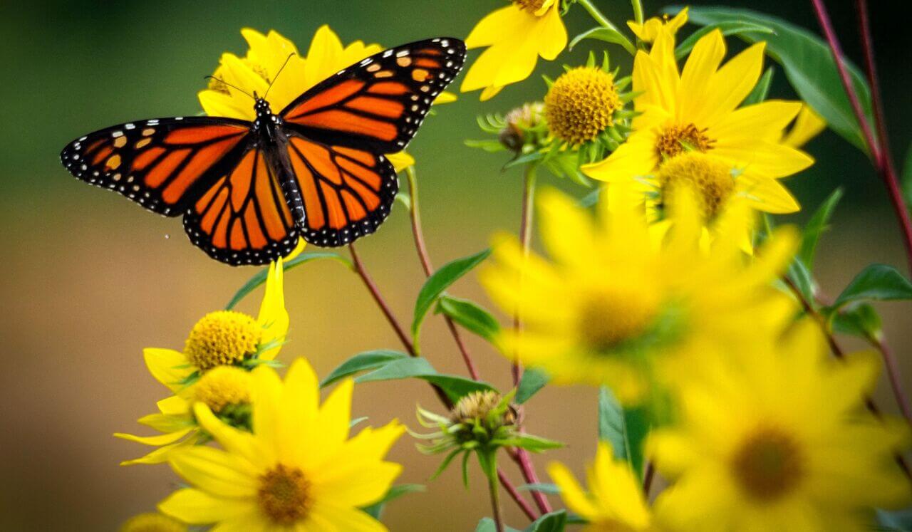 It's Time To Release Anxiety: Deep Sleep Let Go