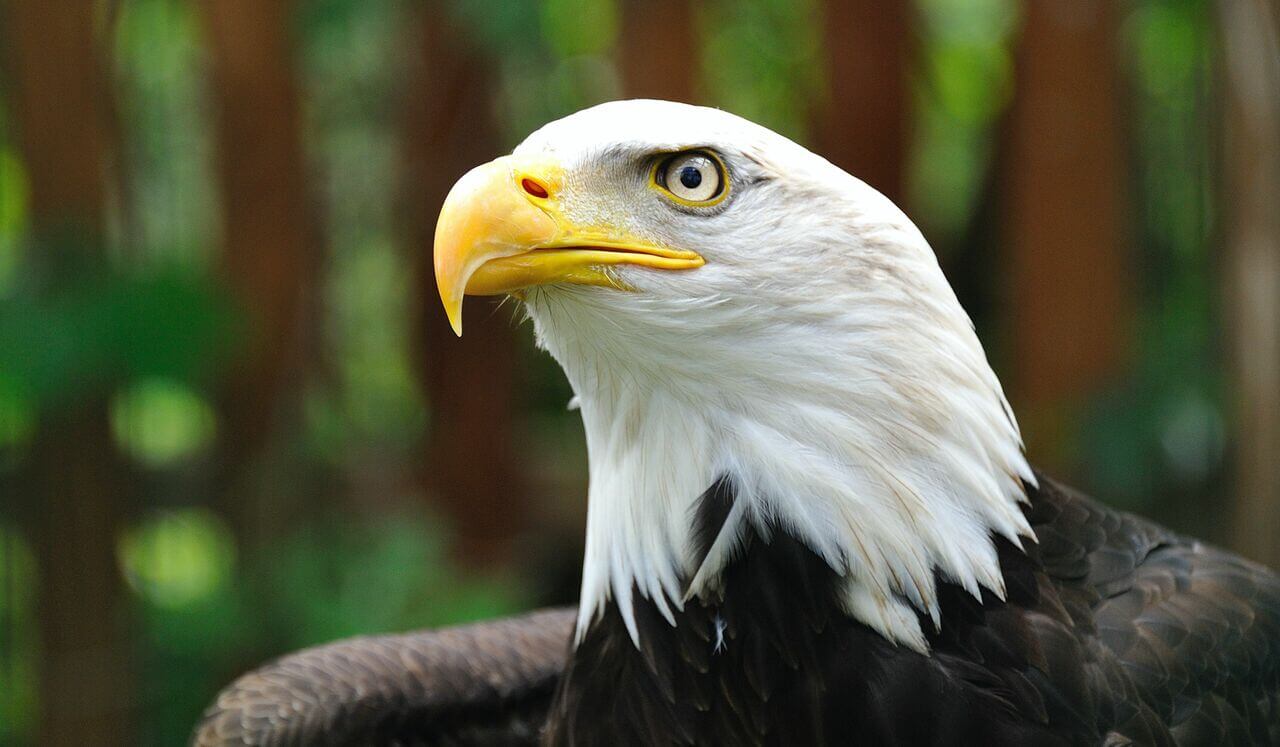 Start Your Day With Confidence