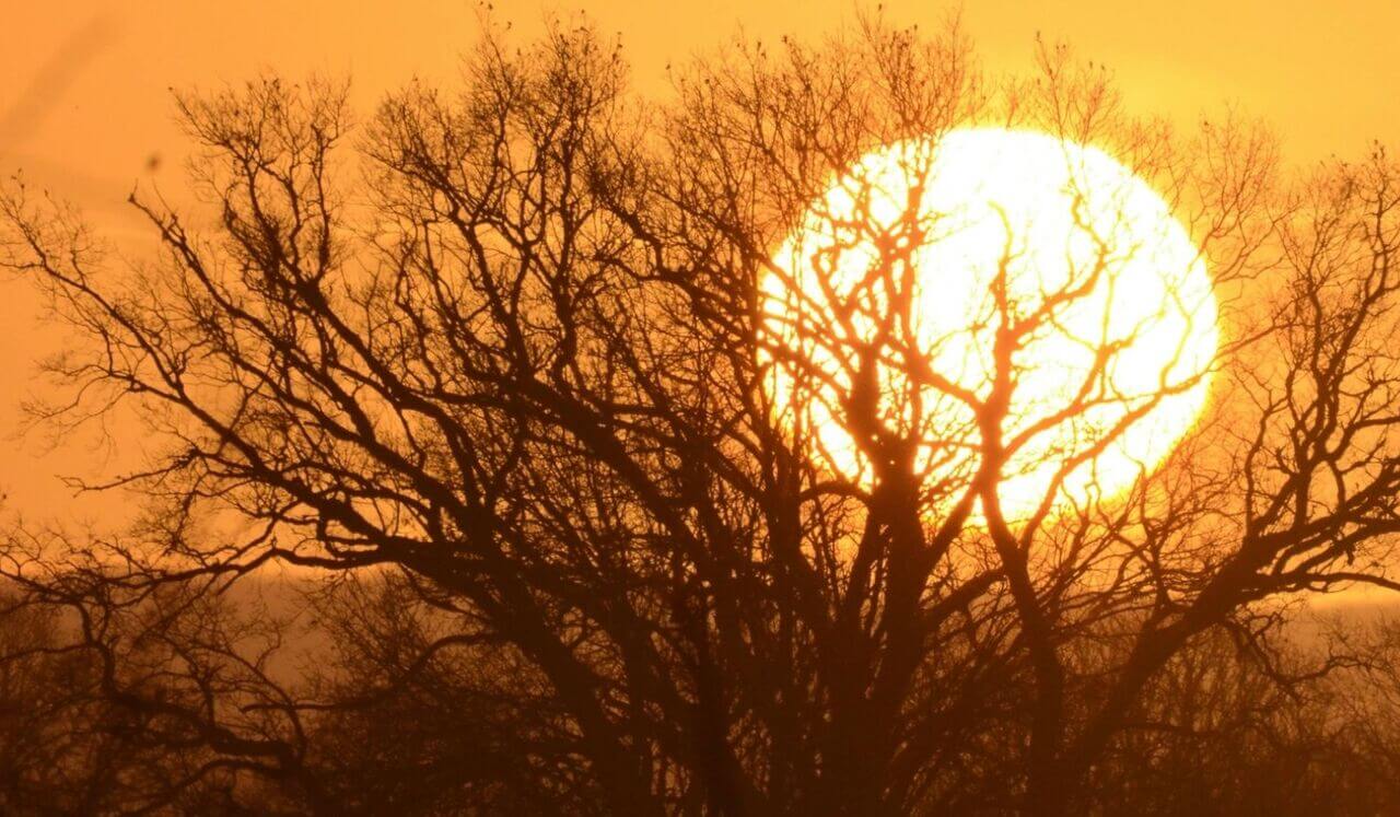 Release Trauma Signals - Hopelessness