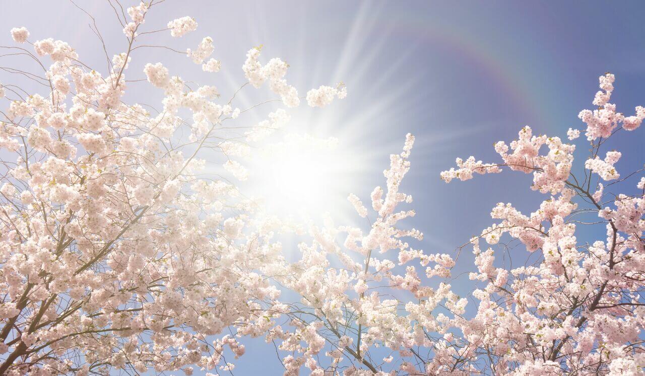 Simple Steps to Increase Your Intuition