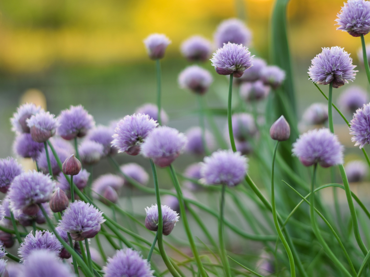 Piano Music: Release Grief