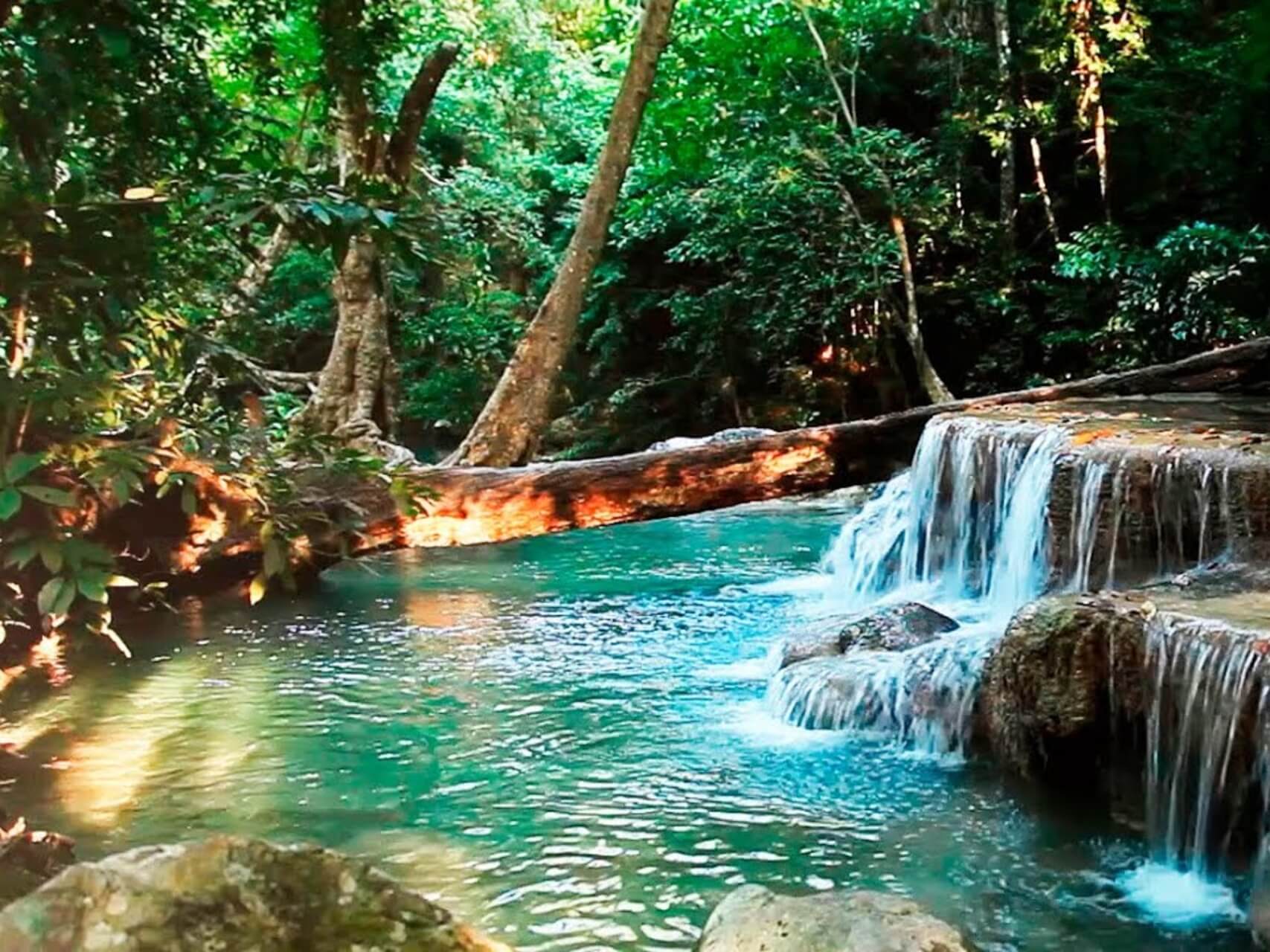 Dr. Joe Dispenza's Guided Practice: Becoming Supernatural | Manifest Yourself