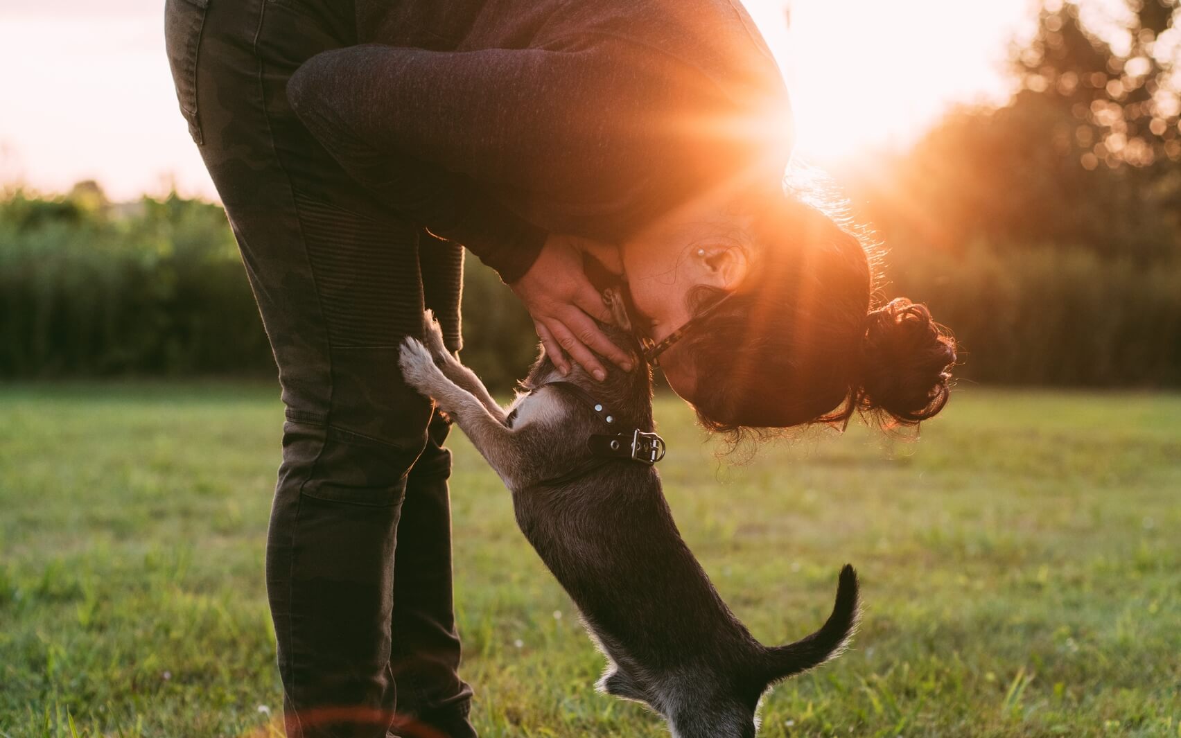 Emotional Regulation: Talk With Guided Exercises