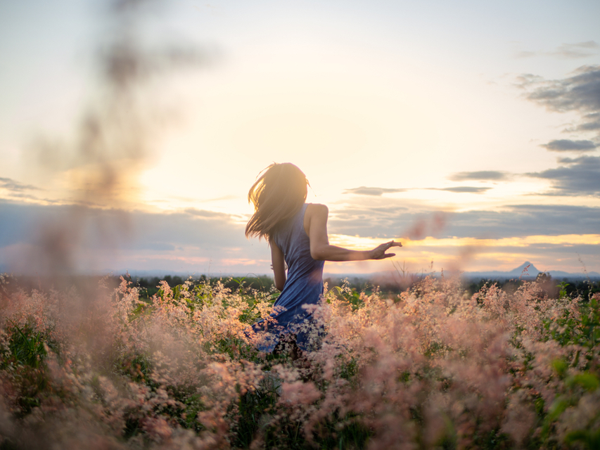 Relax in a Field of Flowers With Peaceful Music 